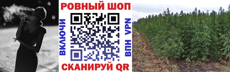 Наркотические вещества Энем A PVP  Мефедрон  АМФ  Конопля 